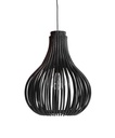 Kattovalaisin Bulb, Black